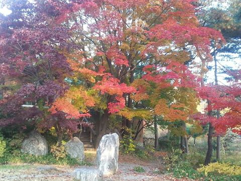 정화수도원 이미지