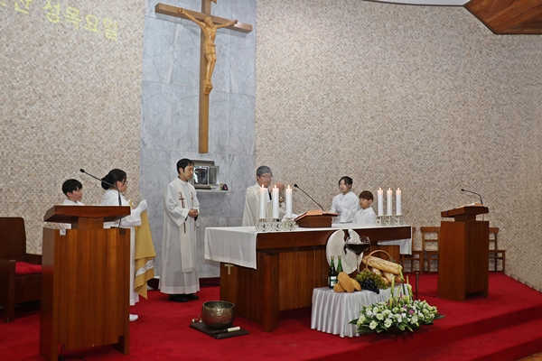 p%20(19).JPG