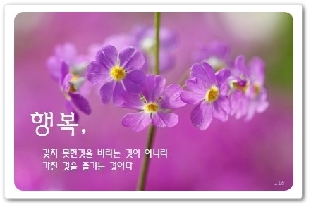 행복한날 이미지